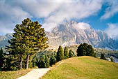 Trekking nel Parco Naturale Puez-Odle. Dall'Alpe  Col Raiser (2100 m) alla Val di Funes. Le Odle viste da Col Raiser 